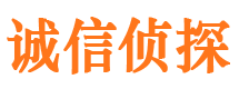 镇雄市调查公司